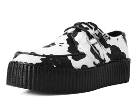 Black & White Cow Print Viva Mondo Creeper